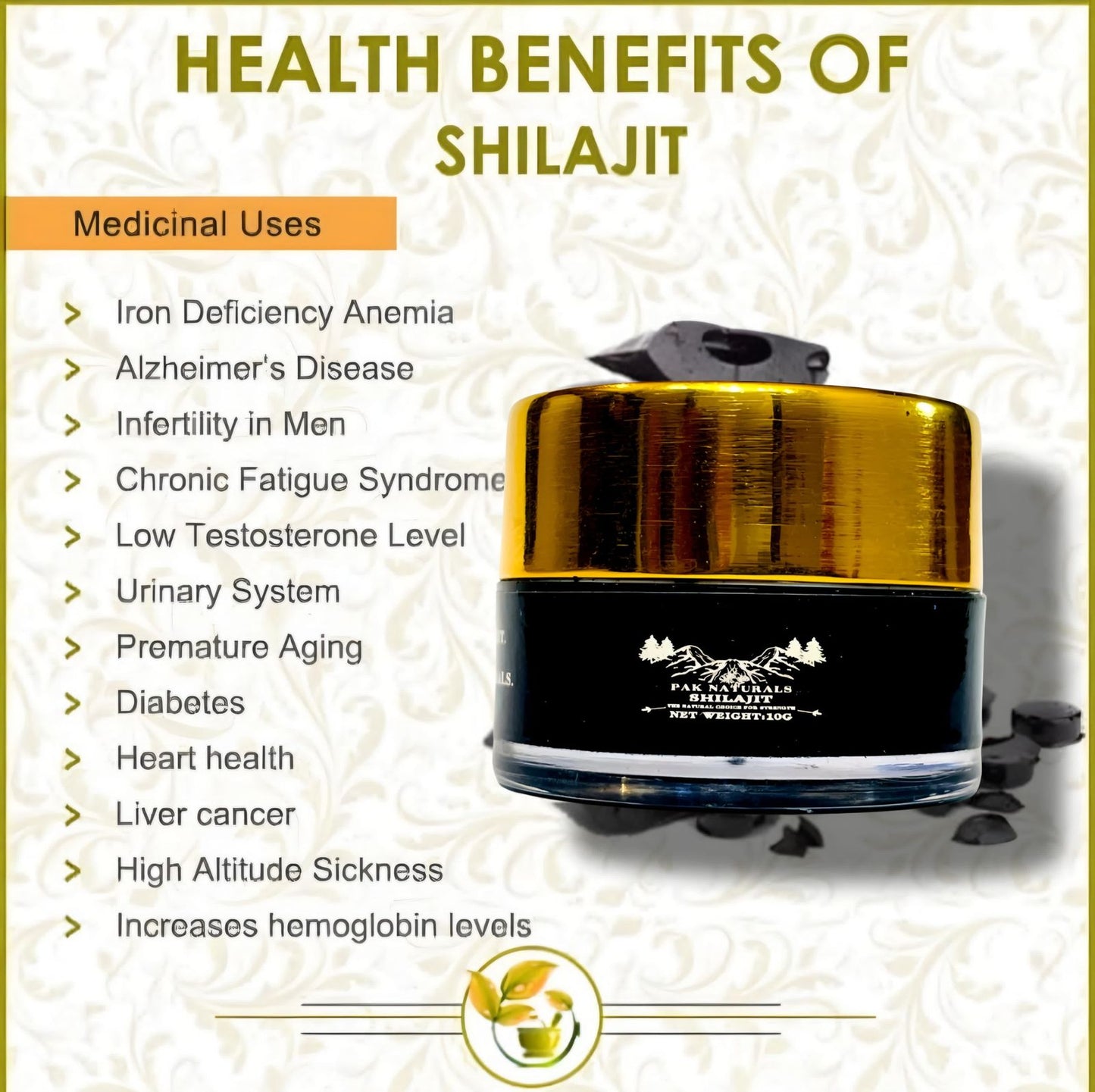 Gilgit Premium Shilajit (سلاجیت)