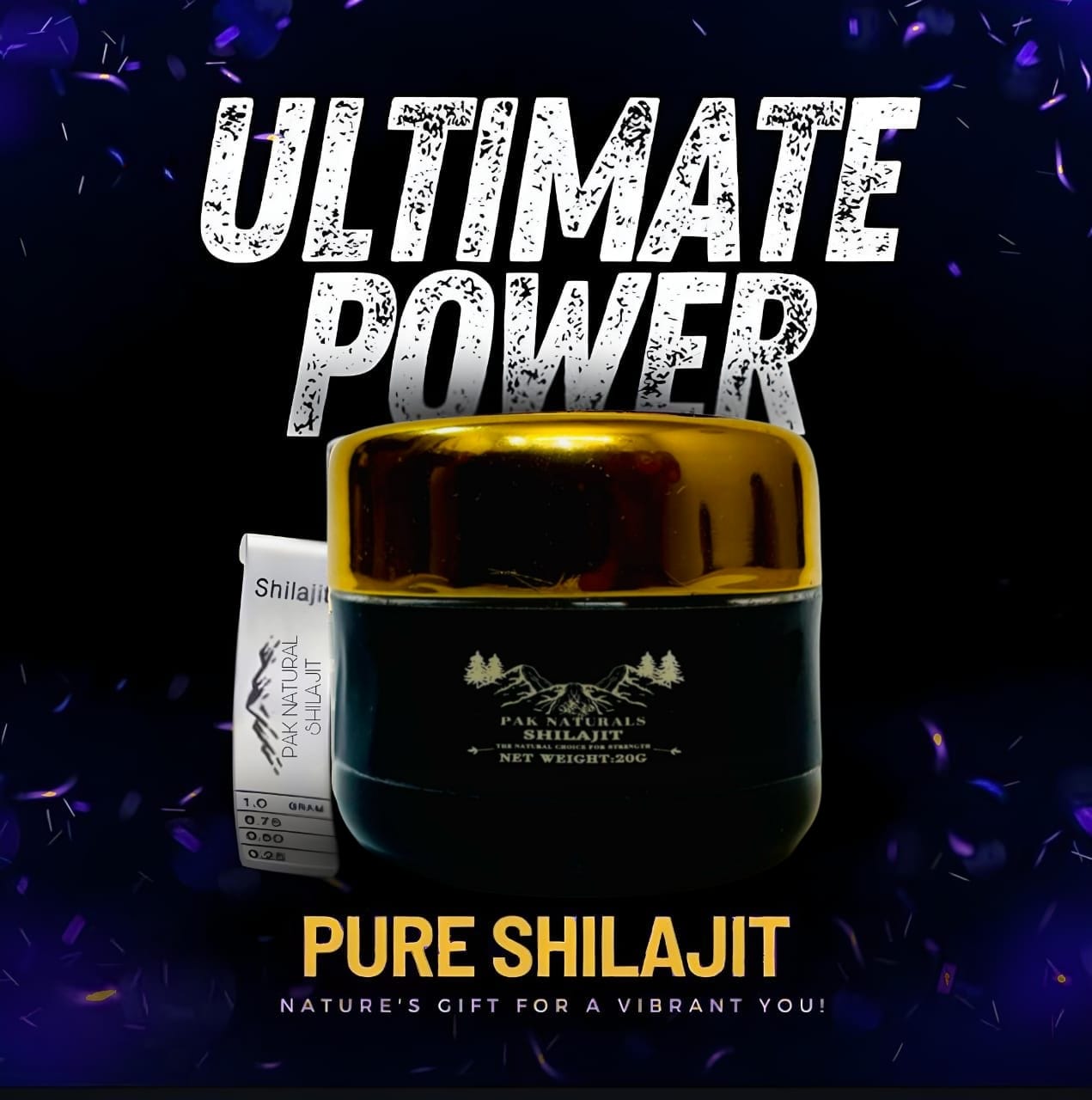 Gilgit Premium Shilajit (سلاجیت)20 gram