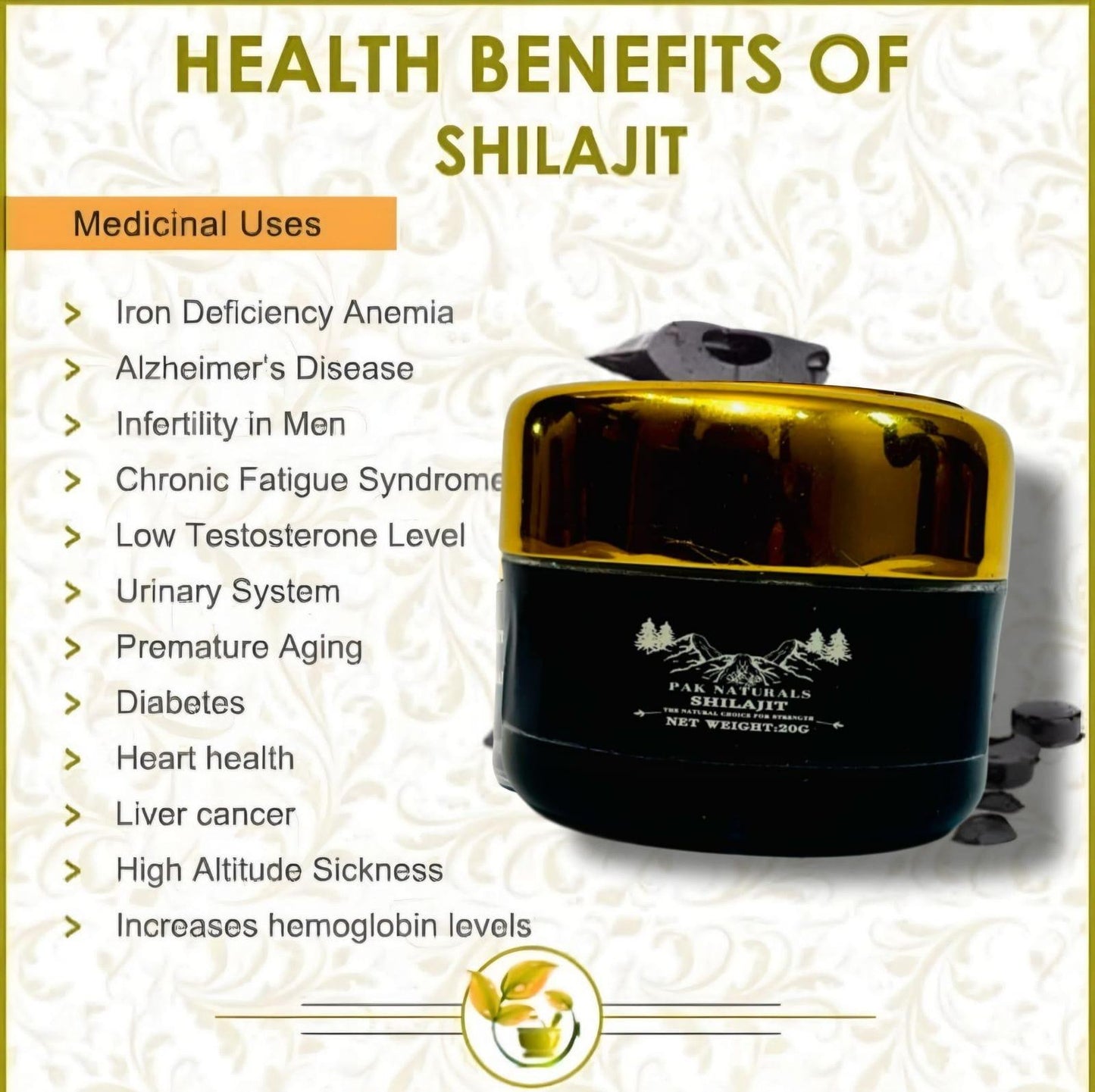 Gilgit Premium Shilajit (سلاجیت)